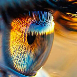 Immanence