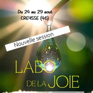 Séjour - LE LABO DE LA JOIE