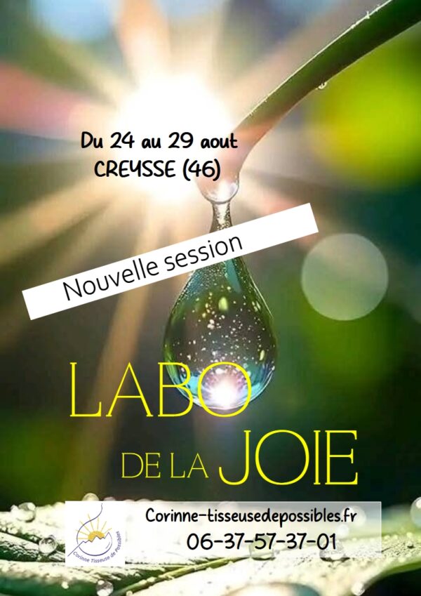 Séjour - LE LABO DE LA JOIE