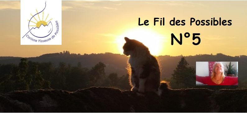 Le Fil des Possibles – N°5
